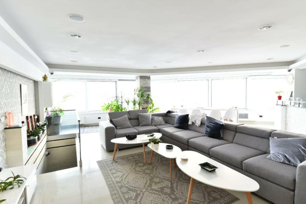 康斯坦察Ozana Apartament公寓 外观 照片