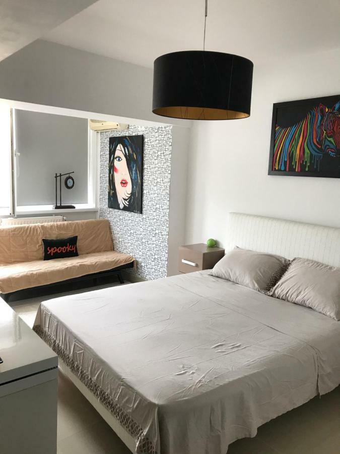 康斯坦察Ozana Apartament公寓 外观 照片